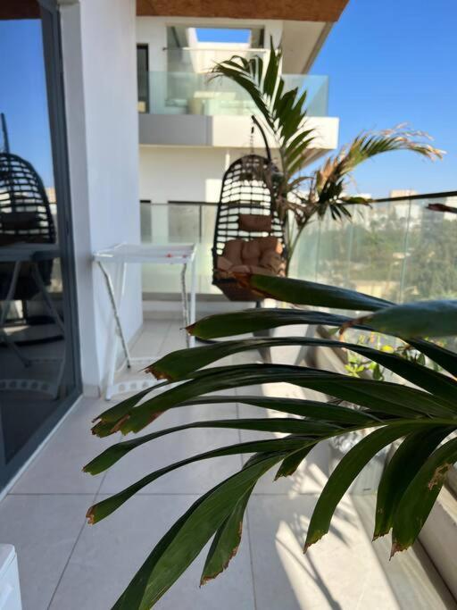 Superb Urban Oasis In Almadies * Dakar